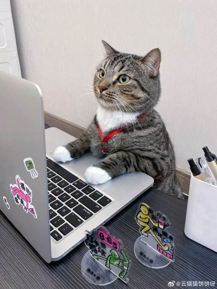 Aimee Brown tweet media