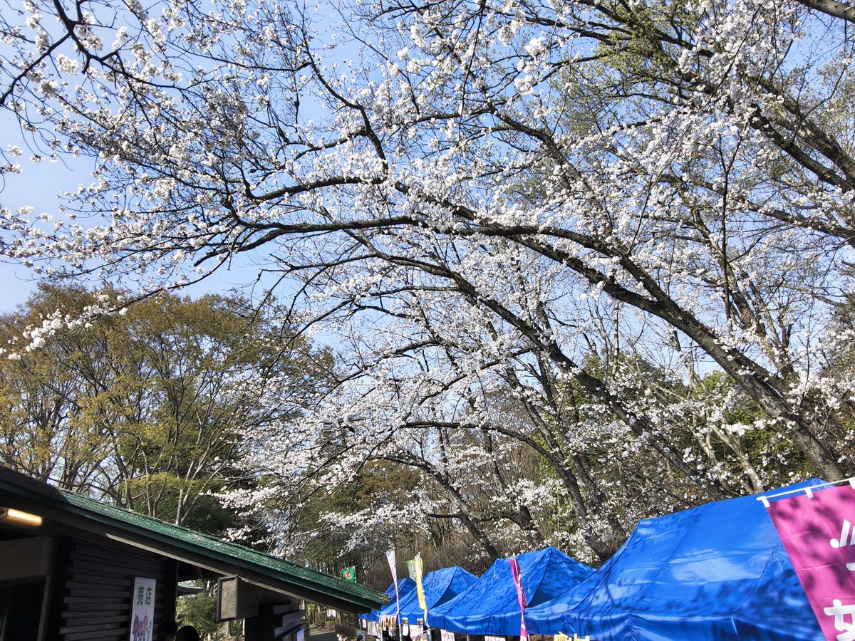 上尾市観光協会 tweet media