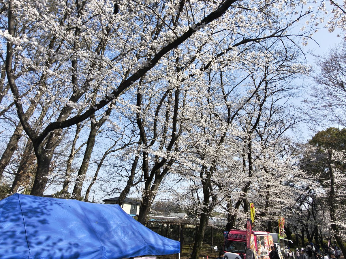 上尾市観光協会 tweet media