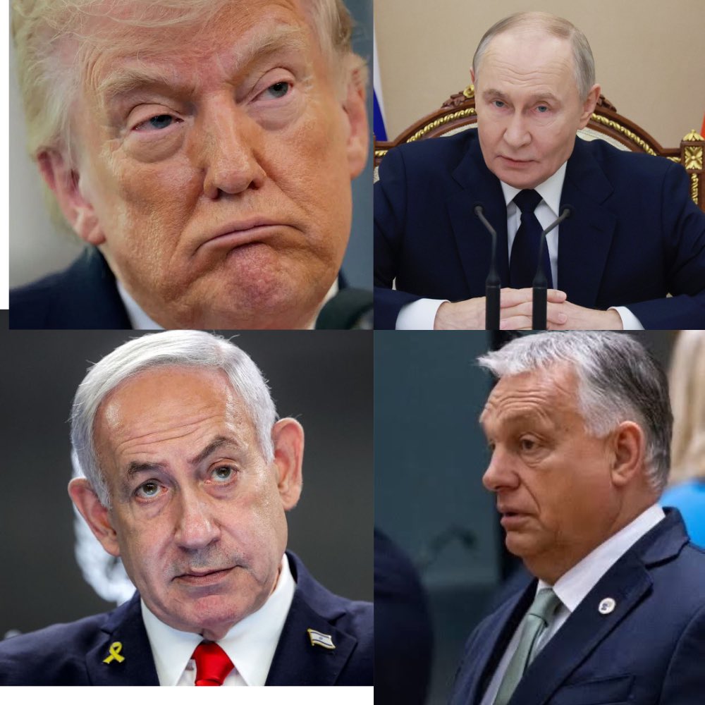 Katja Moikjær tweet media