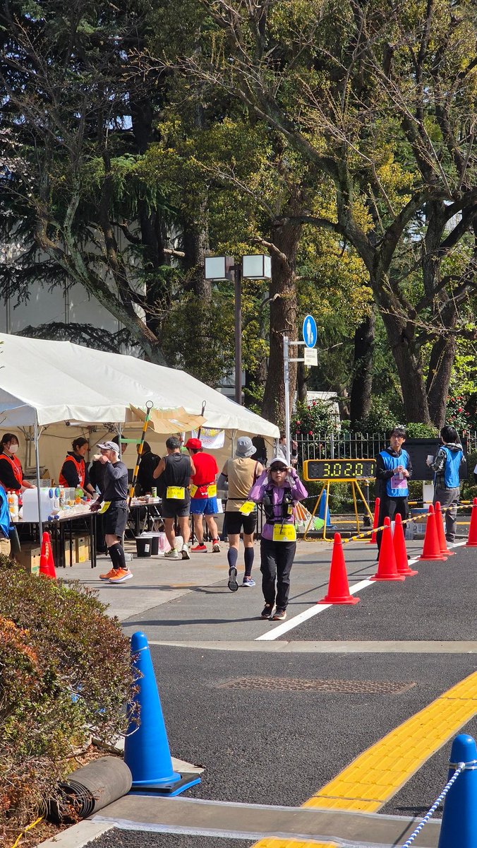 さくら100% tweet media