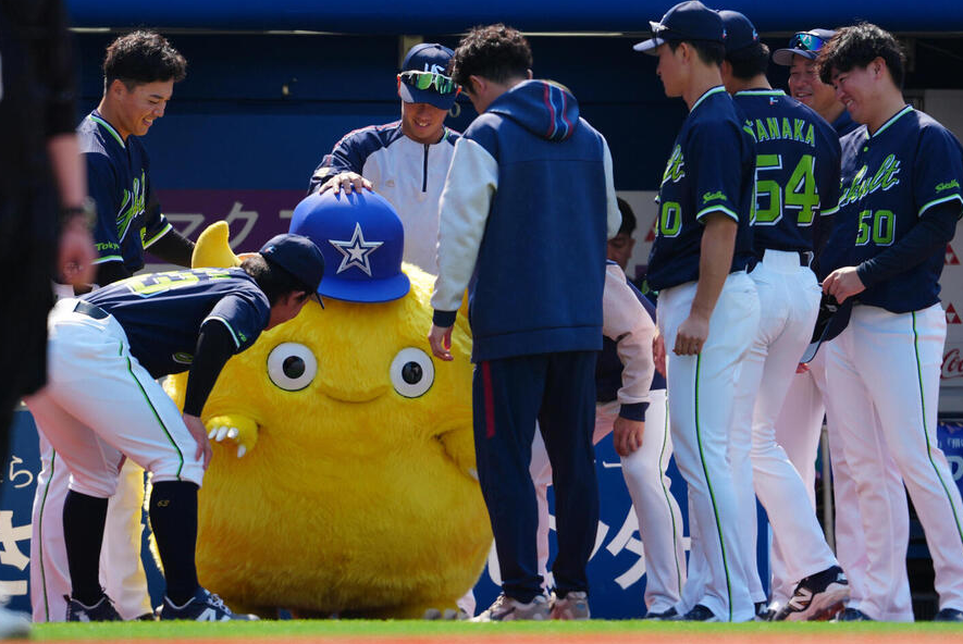 Jun 🐾 tweet media