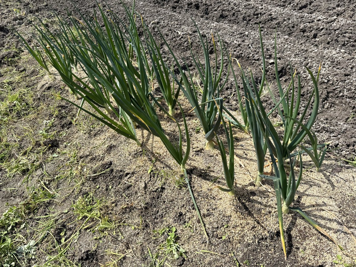 きぃ@FP2級合格を目指す tweet media