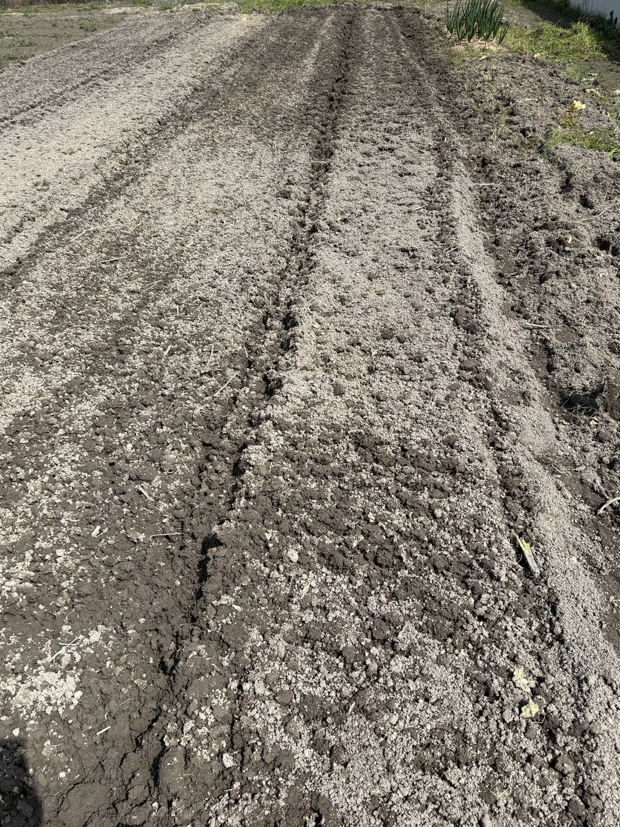 きぃ@FP2級合格を目指す tweet media