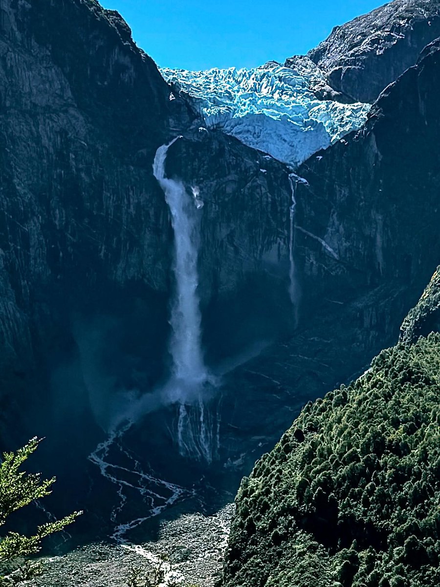 Isabel Gonzalez Bachmann tweet media