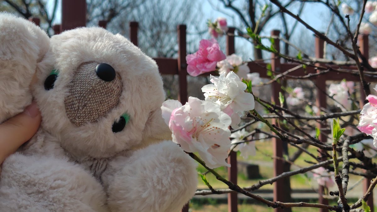 にゃごみ tweet media