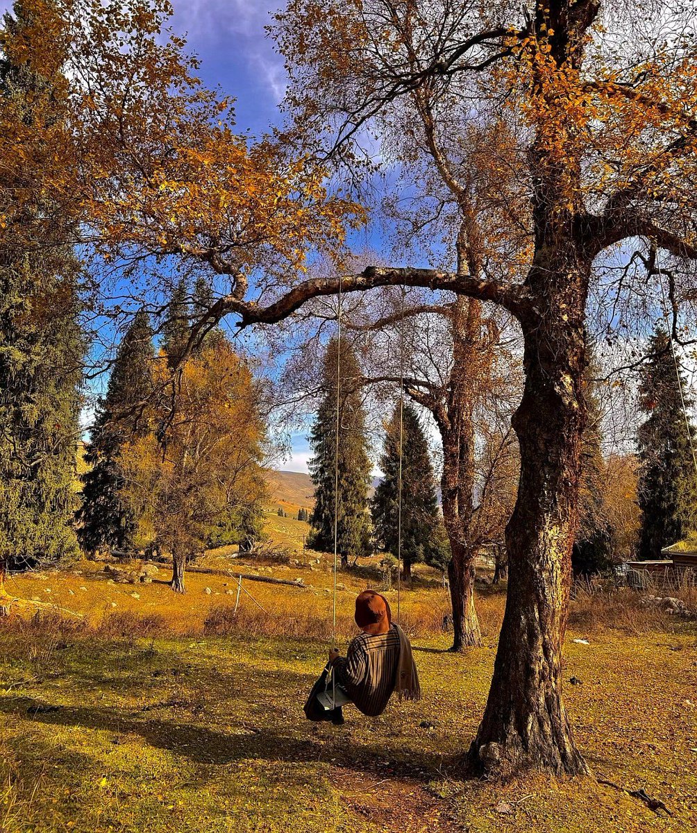 vinicius tweet media