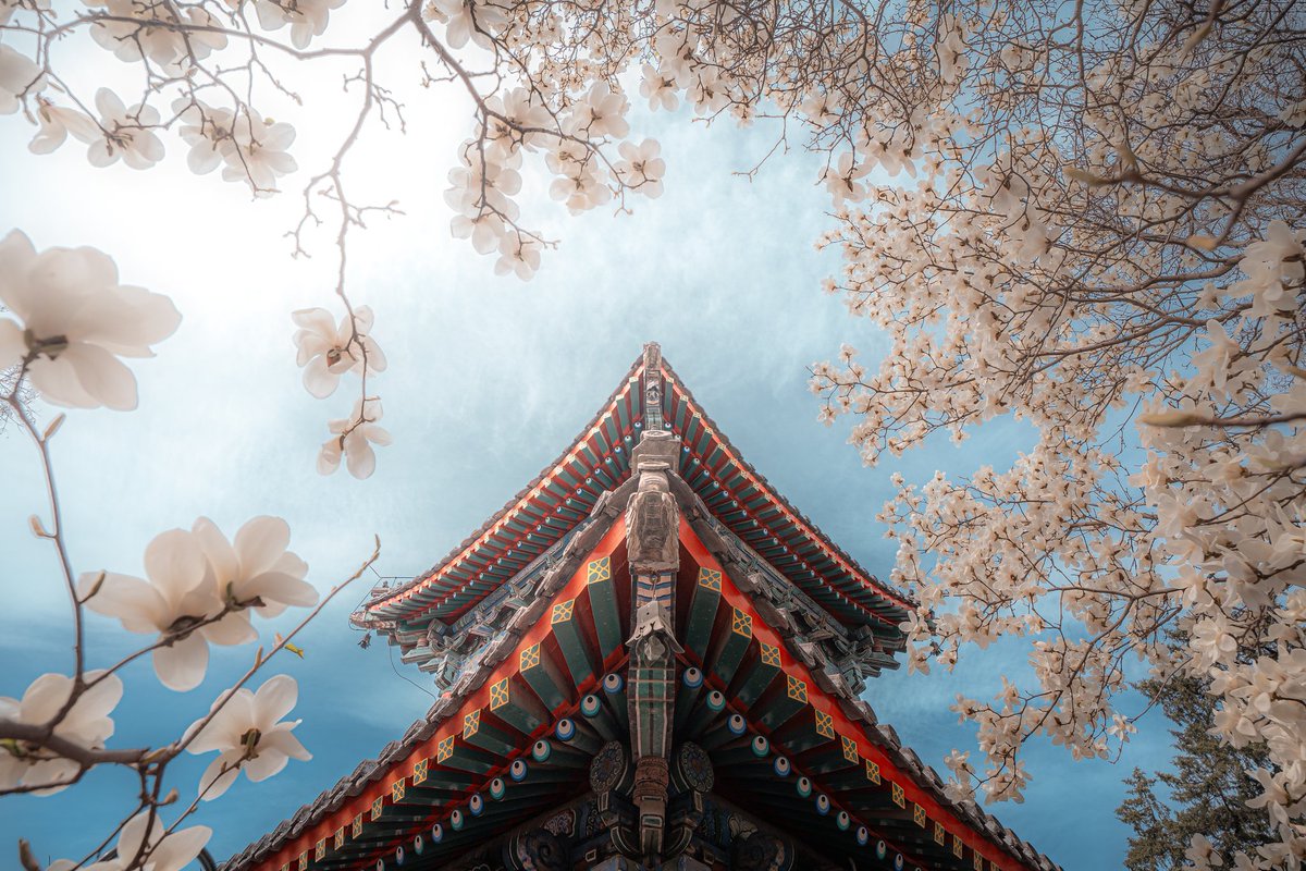 Sufflection.wav tweet media