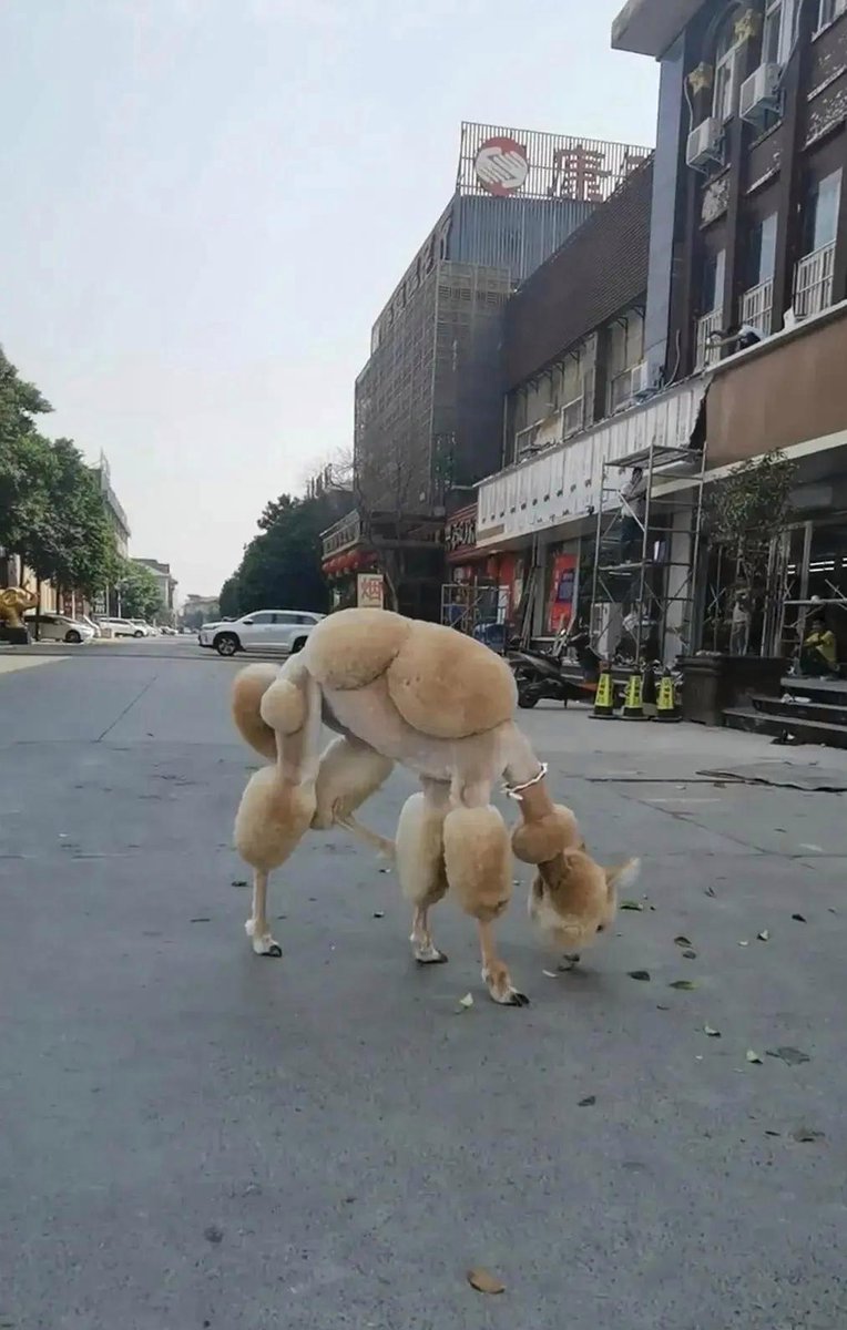 Leslie Peters tweet media