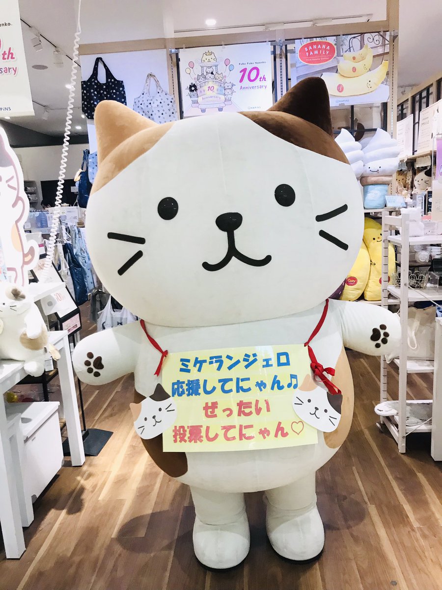 ⋰ 🐱#ふくふくにゃんこ📷 グリーティングイベント開催☆ˎˊ˗ ⋱ みん