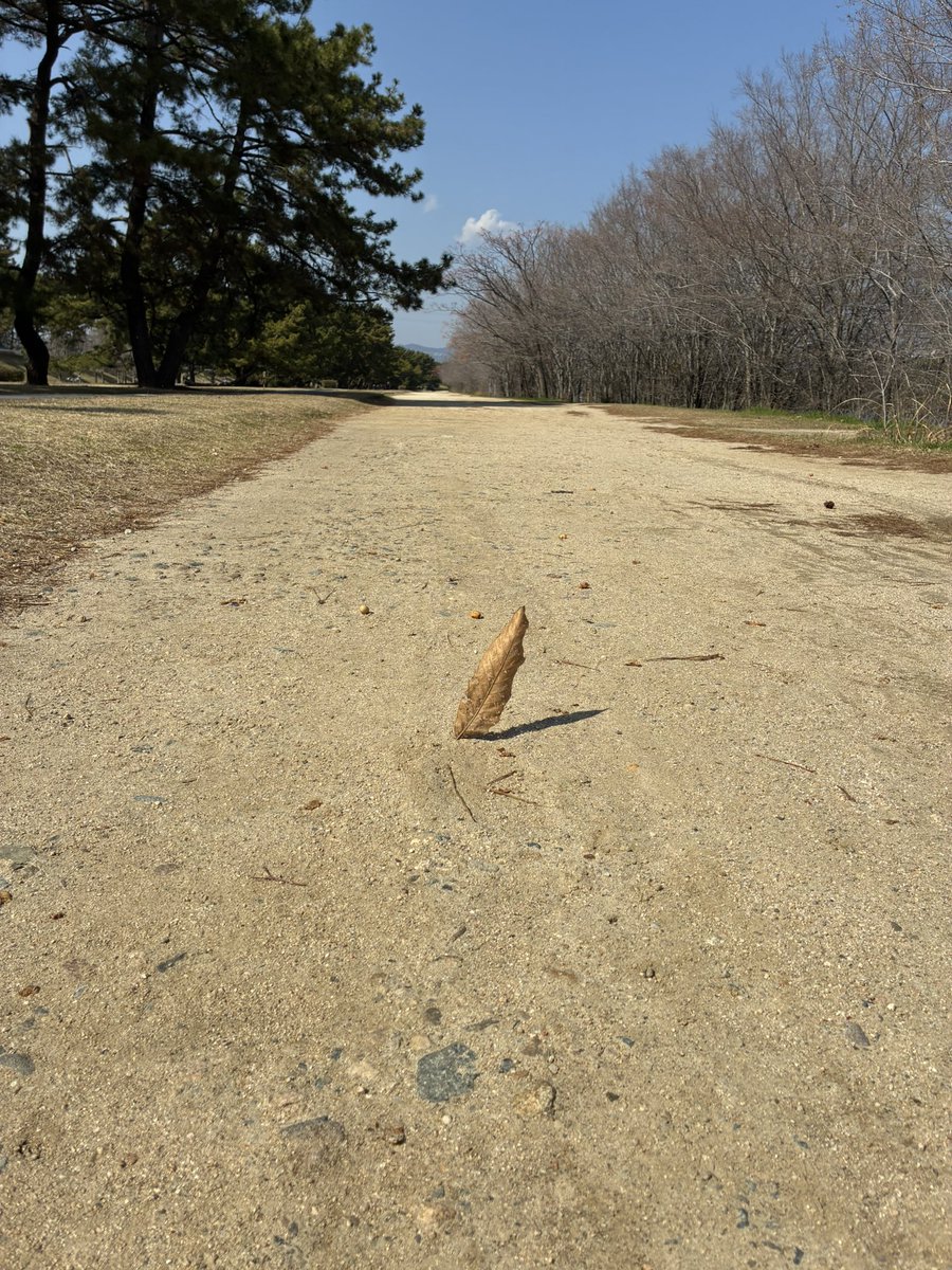 えびちゃん(蛯沢渉)@しくじり経営者®️配信中! tweet media