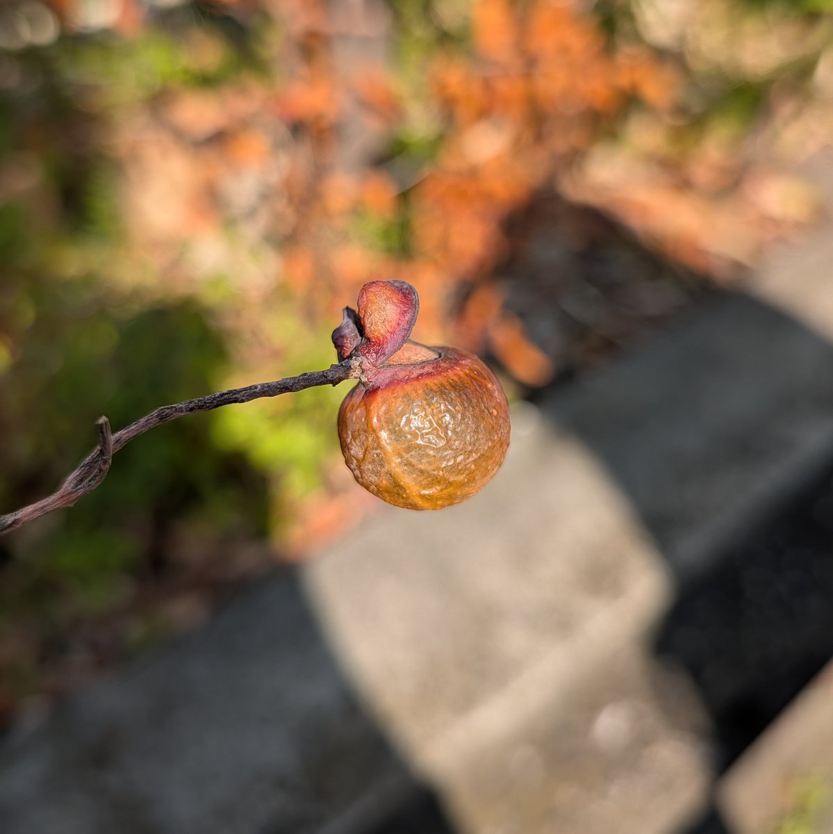 けー。🌸お花 × カウンセリング tweet media