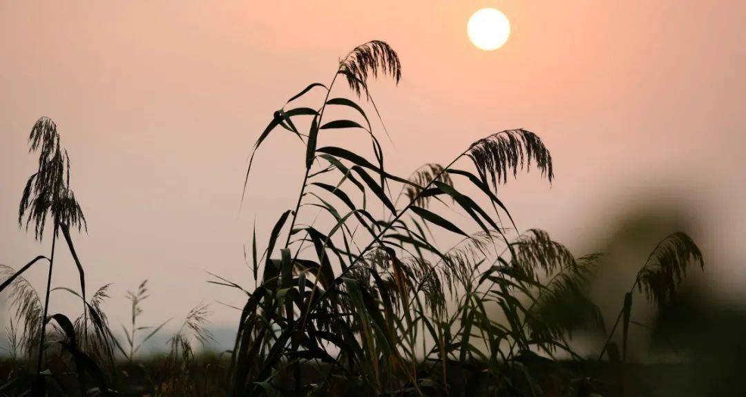 Neil Cobb tweet media