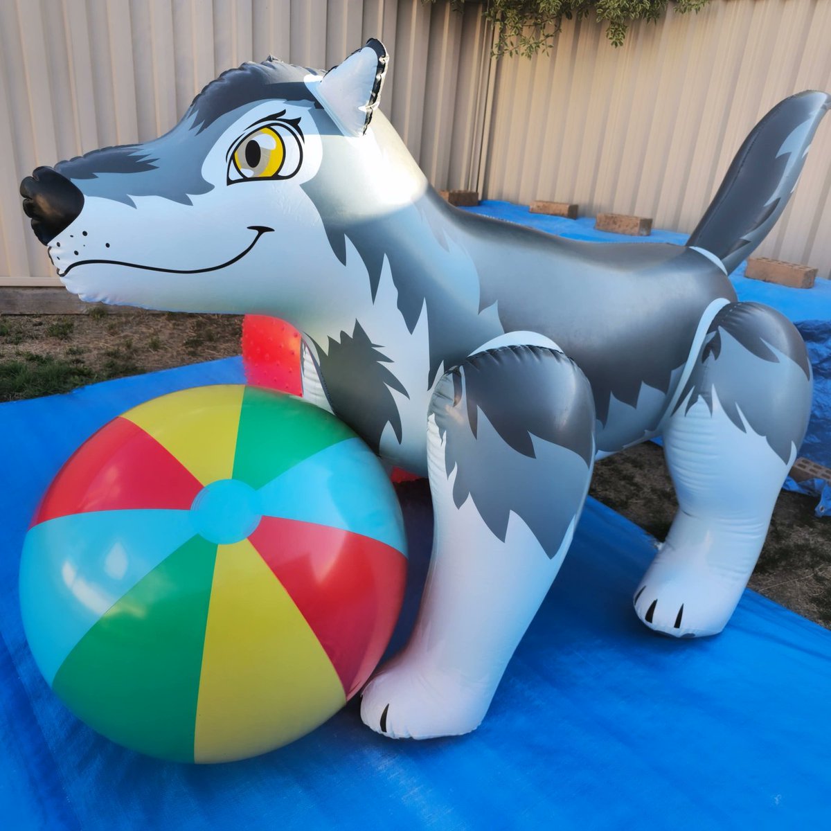 Hillhusky Sharpcoat. tweet media