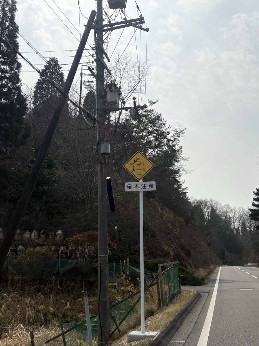 ばうﾁｬﾝ❗️ tweet media