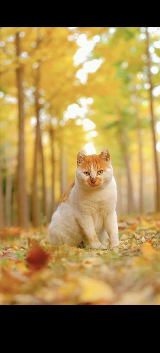 Justin Stiner tweet media