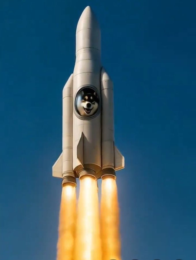 CryptoNikos tweet media