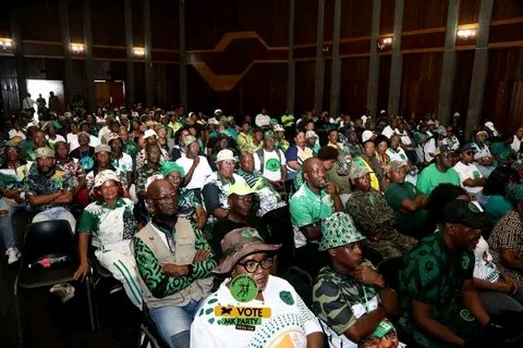 Cadre Lerato Nguyi tweet media