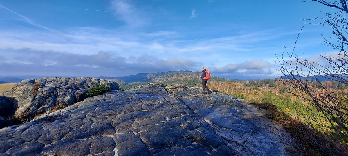 Krajobraz Polski tweet media