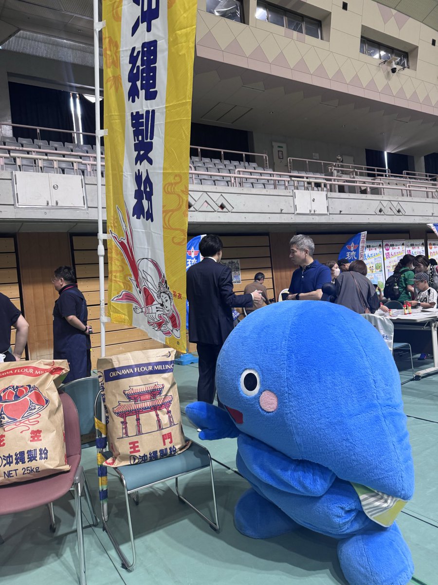 琉球新報☆りゅうちゃん【公式】 tweet media