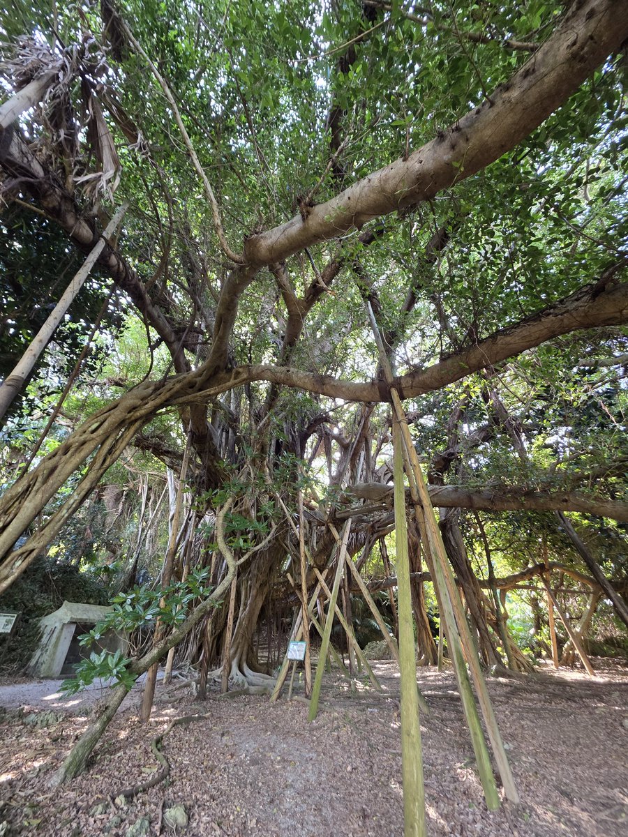 サユース😎国境なき車中泊旅🚐🌏SAYUZ😎Borderless Vanlife tweet media