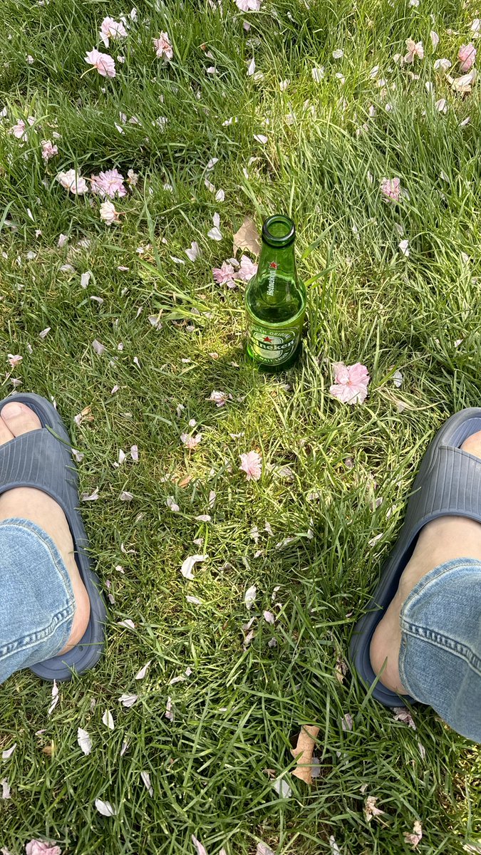 🫧 ☜ 铁锤 tweet media