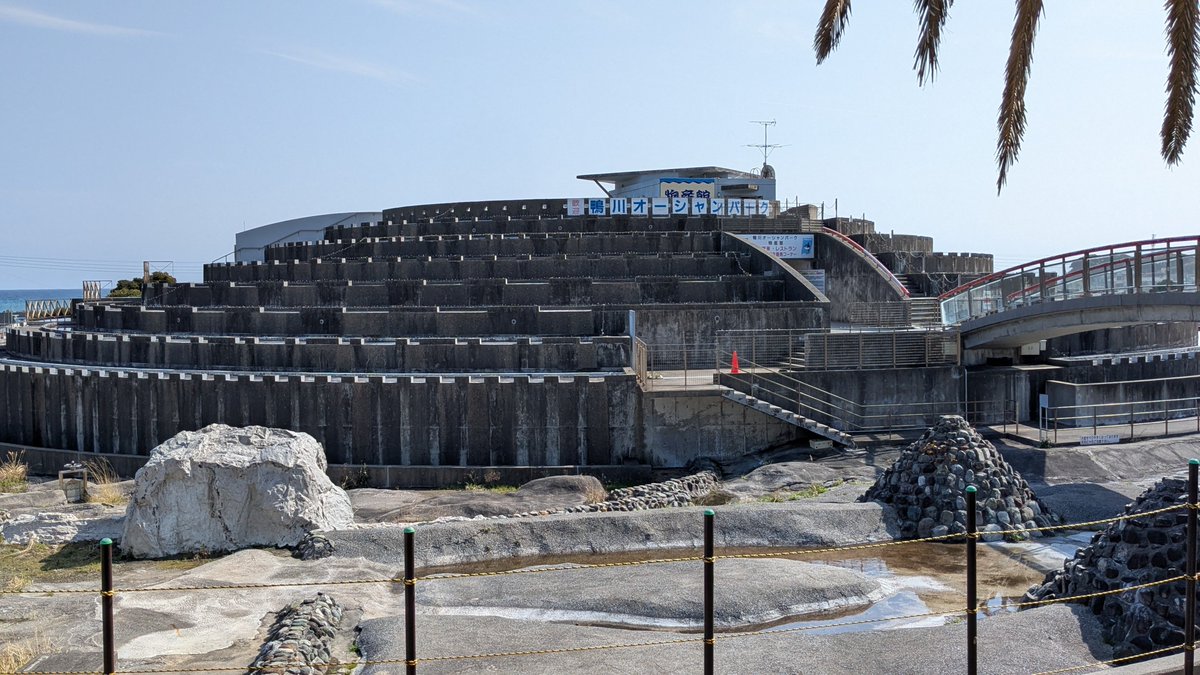 天城＠養ってくれるお姉ちゃんが欲しい tweet media