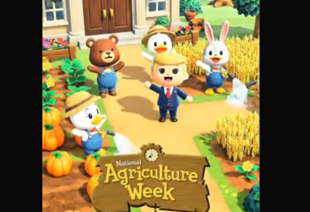 ほのげ tweet media