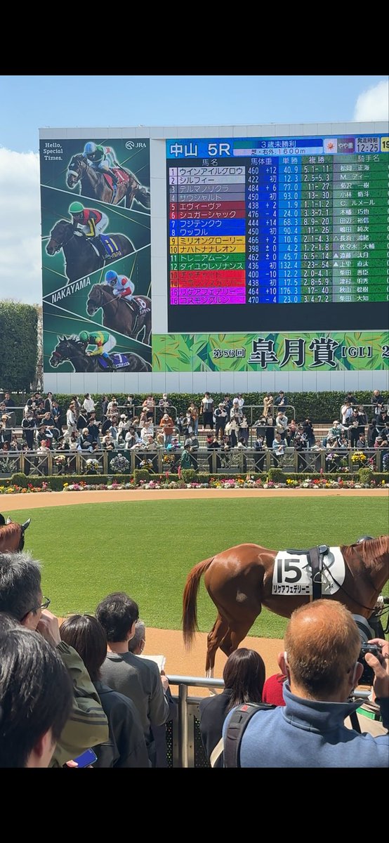 Nakayama mounting yard mail available. Declined English speaking form guide as it hasn't helped me for 40 years can't go any worse in Japanese.