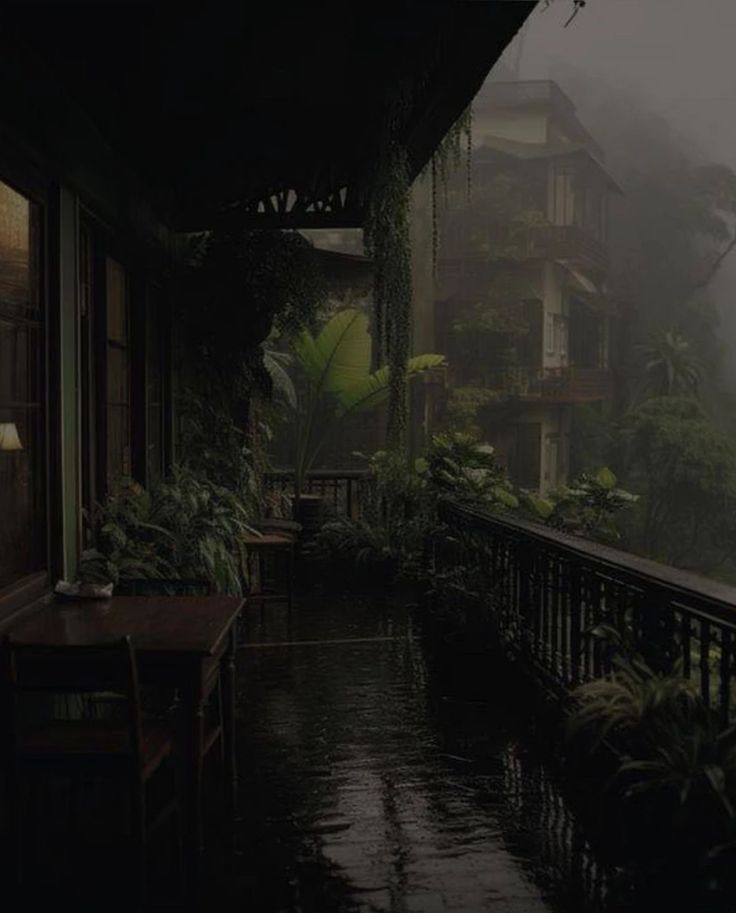 VoidVista tweet media