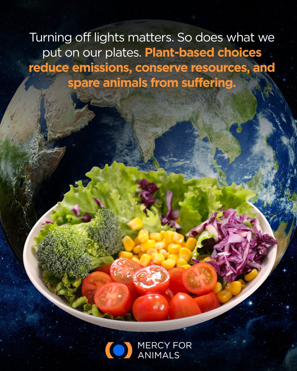 Mercy For Animals India tweet media