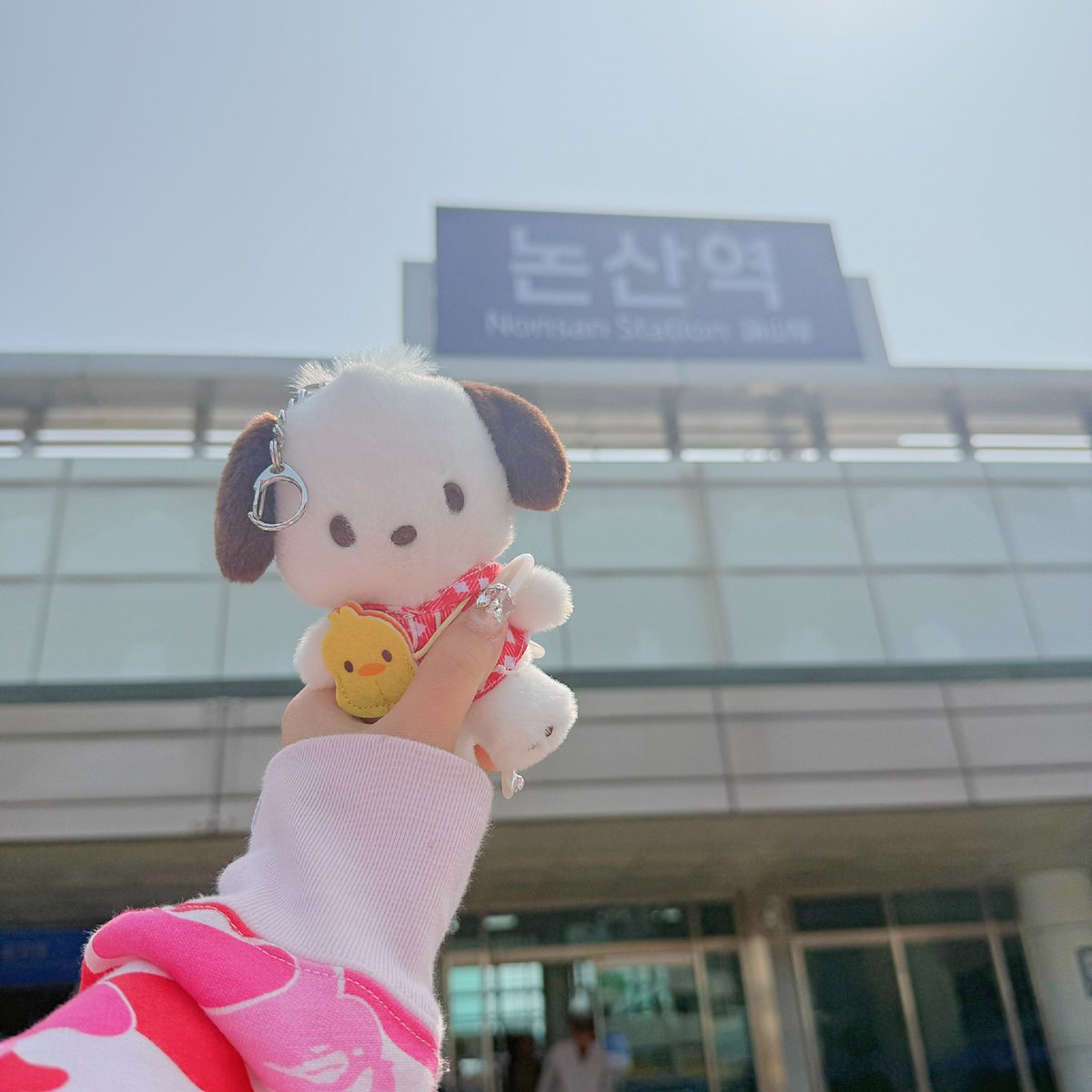 & 사사 (최지호폴라저요😔🙏) tweet media