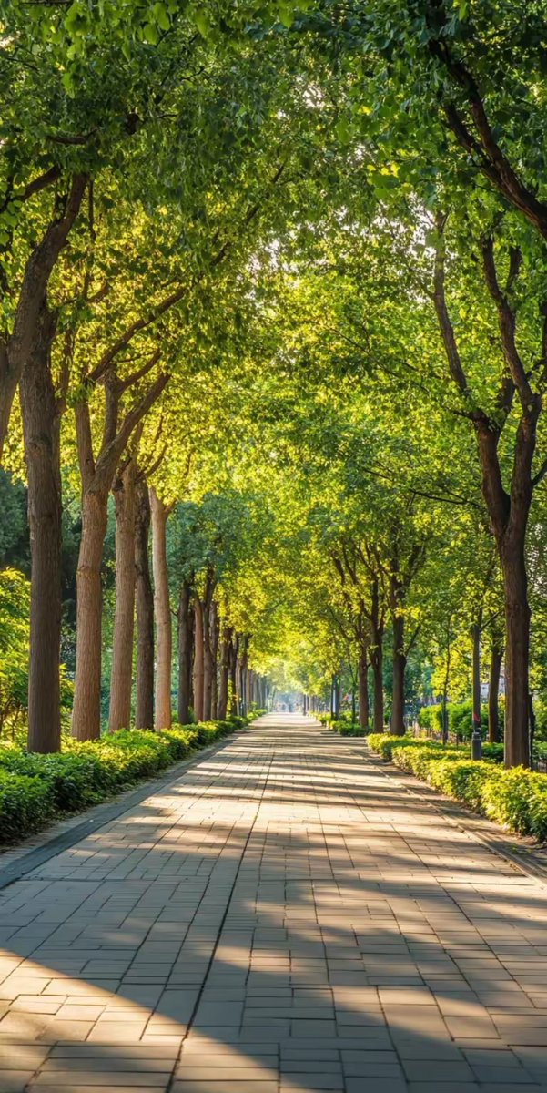 lorenzo stys tweet media