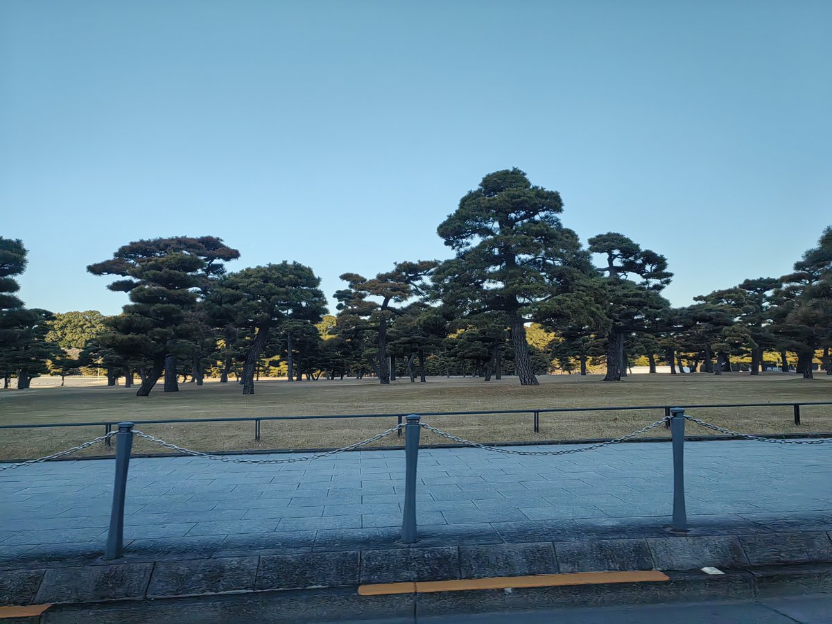 Alison Inglis tweet media