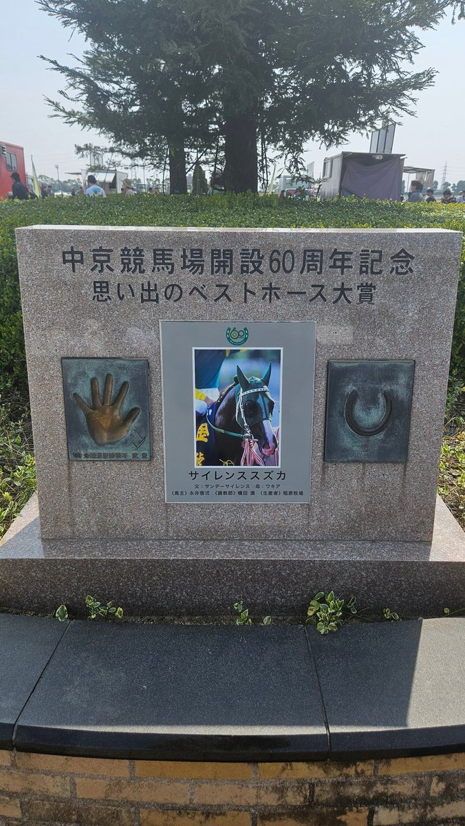 Halo • ハロ 🐎🎮 tweet media