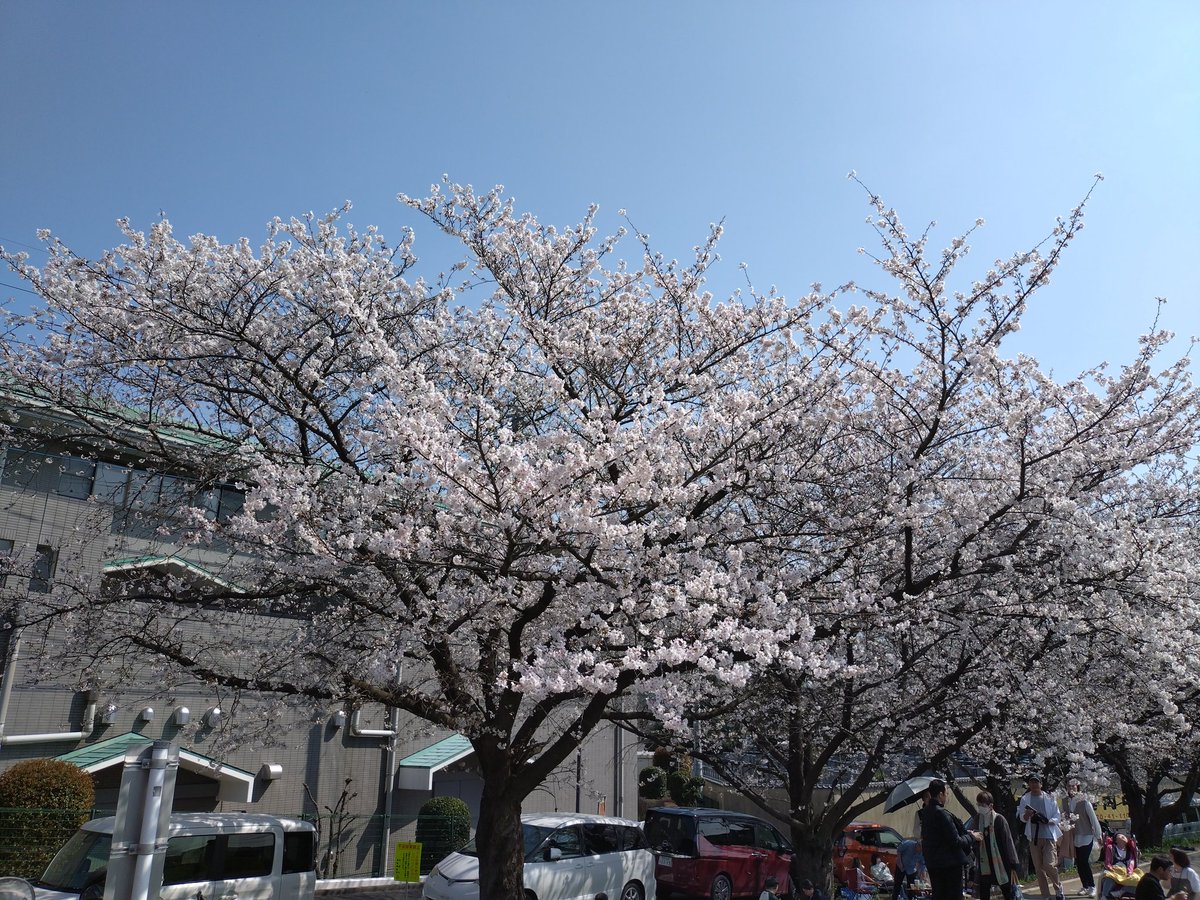 ☆レイナフブキ☆ tweet media