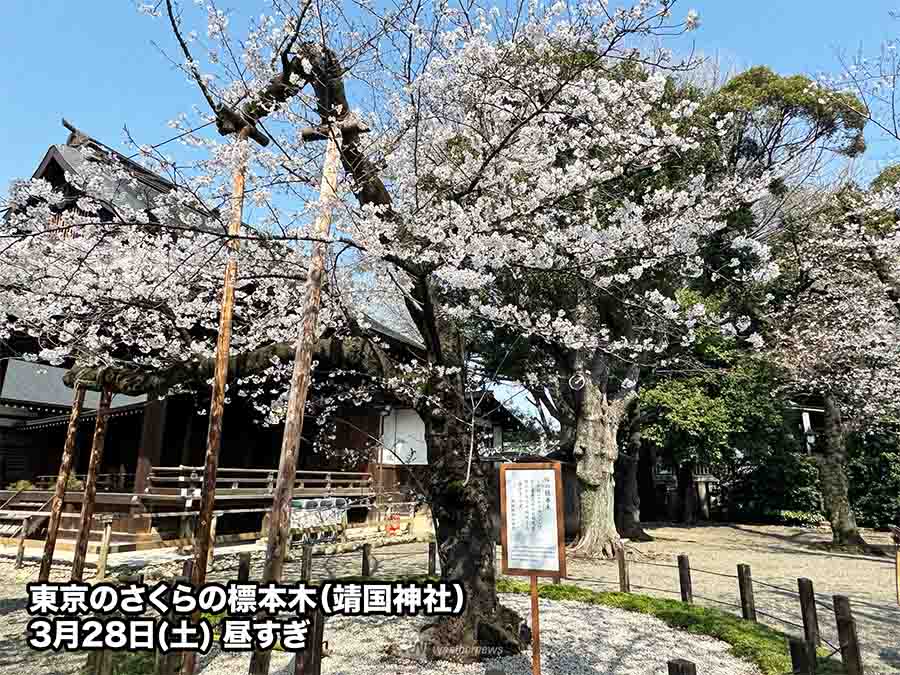 ウェザーニュース tweet media