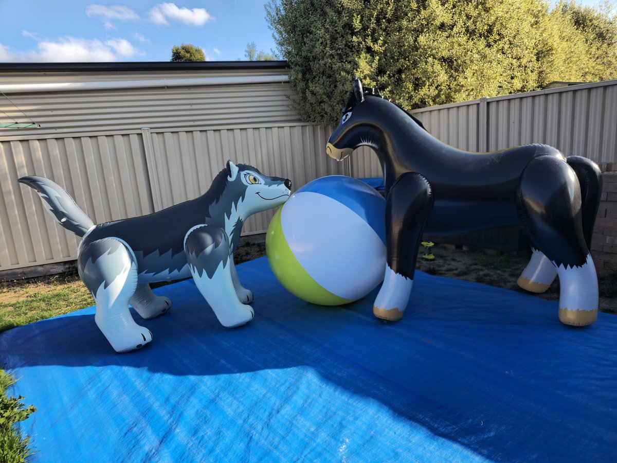 Hillhusky Sharpcoat. tweet media