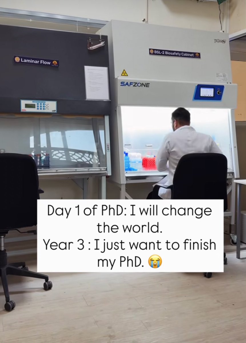 DaffoDil tweet media