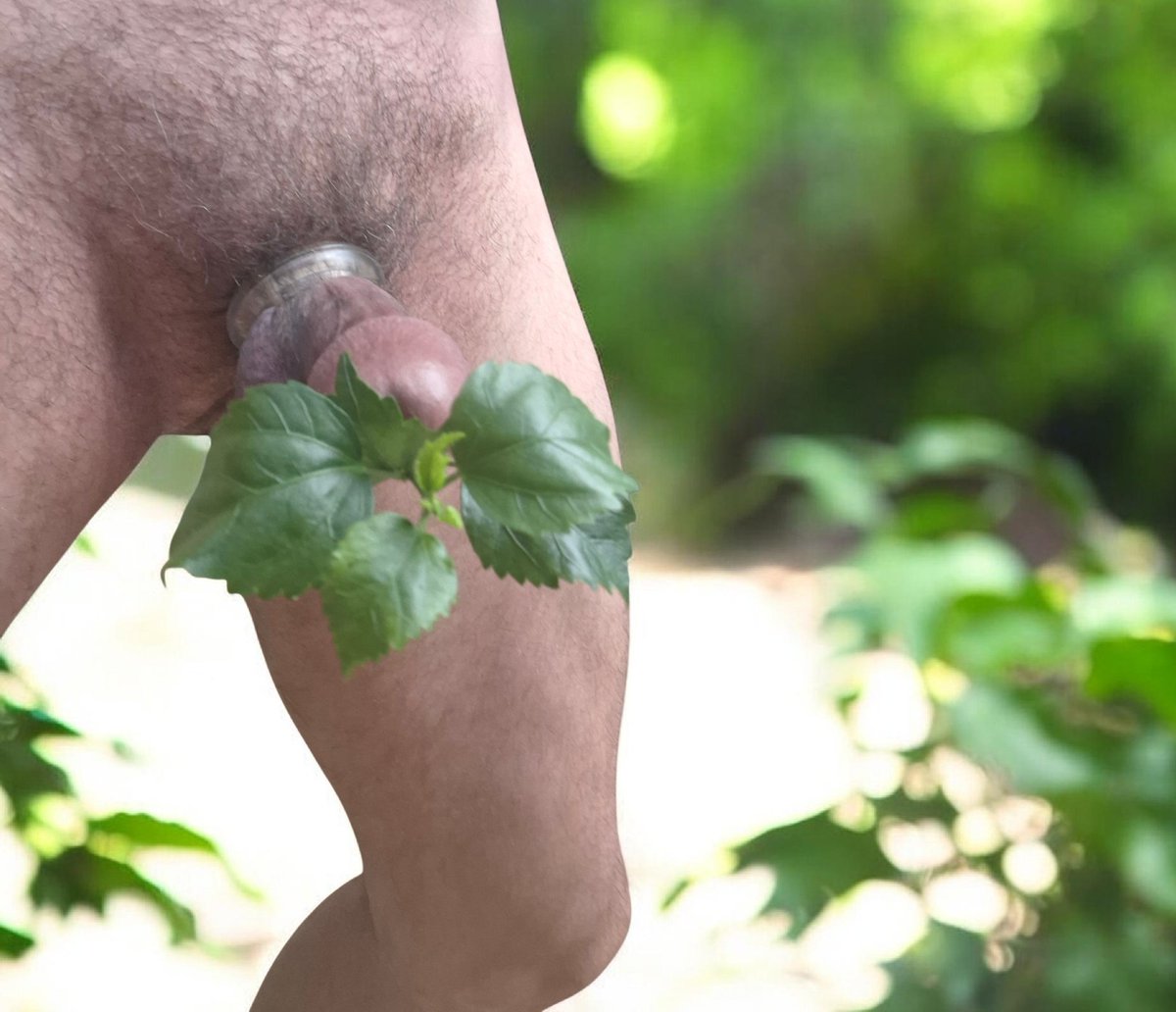 SoundingLoverCBT 🔞 tweet media