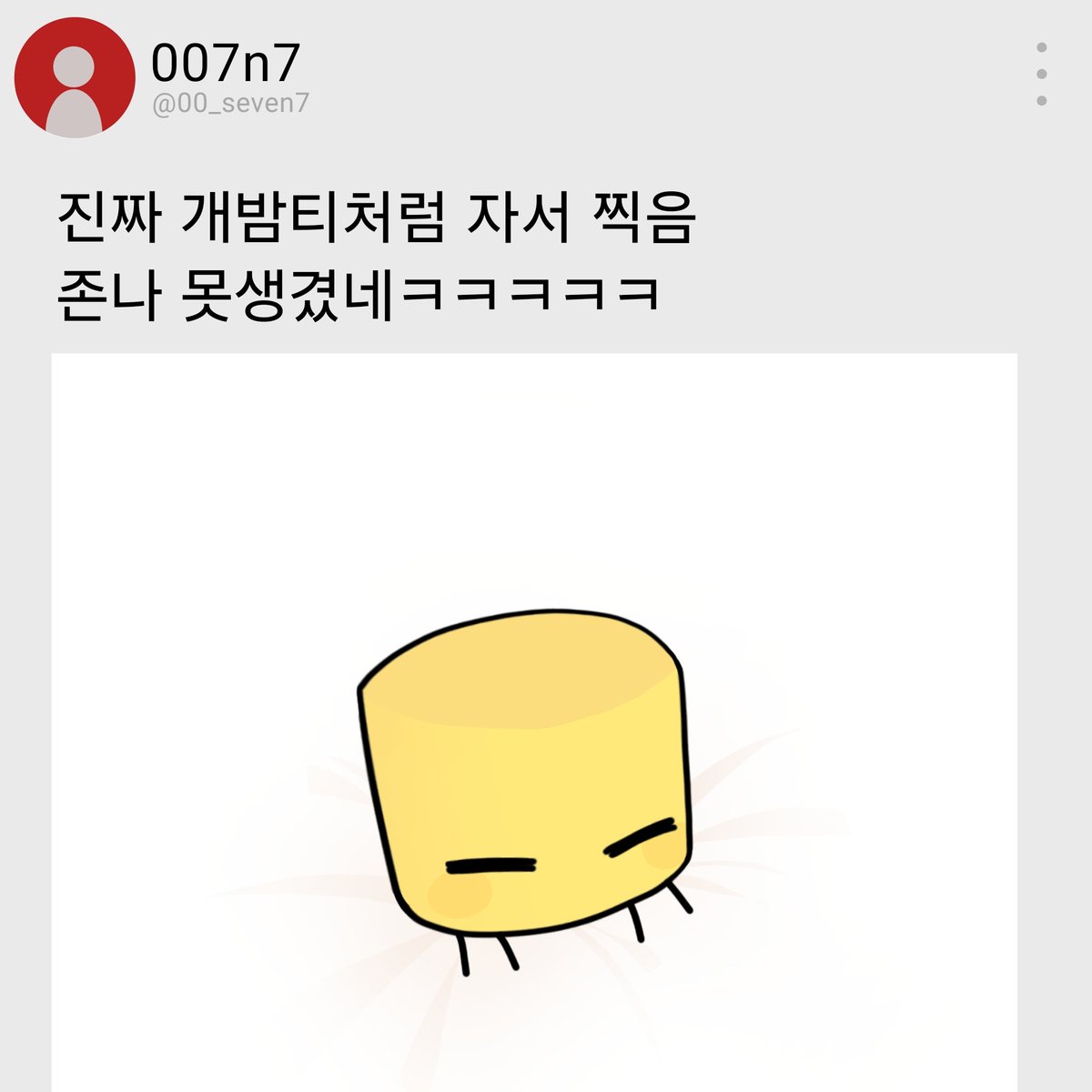 알티예 tweet media