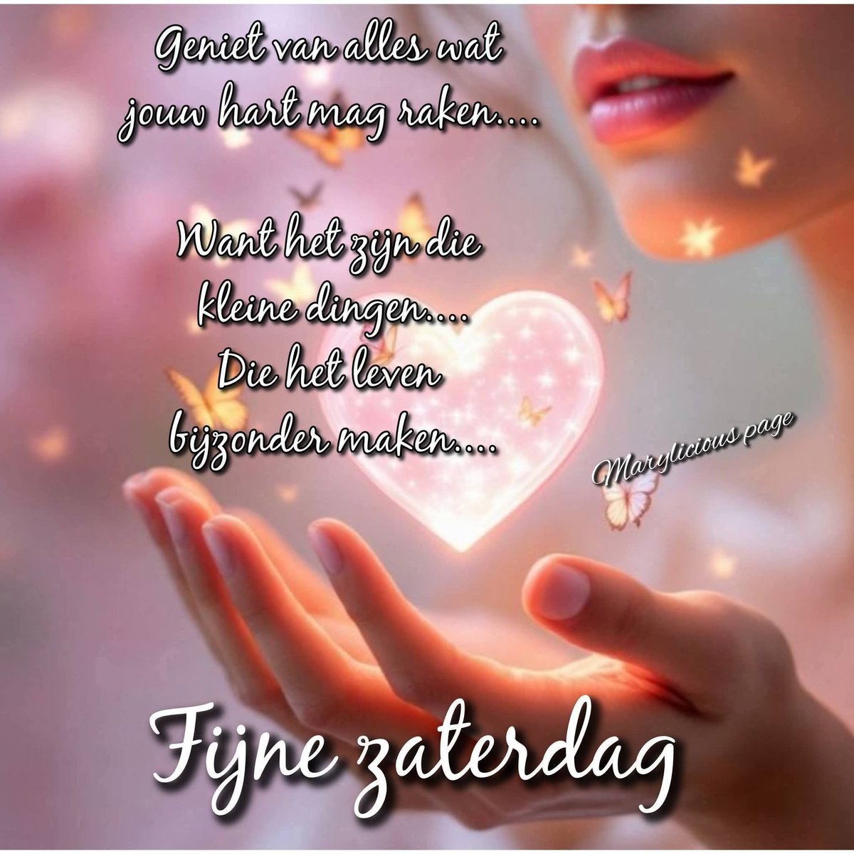 Jolanda hazenfluisteraar🐇 tweet media