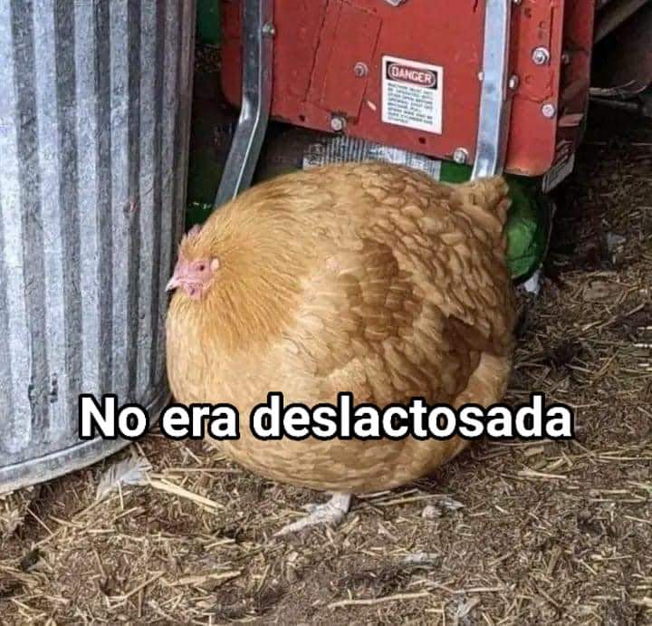 Animalitos en aprietos. tweet media