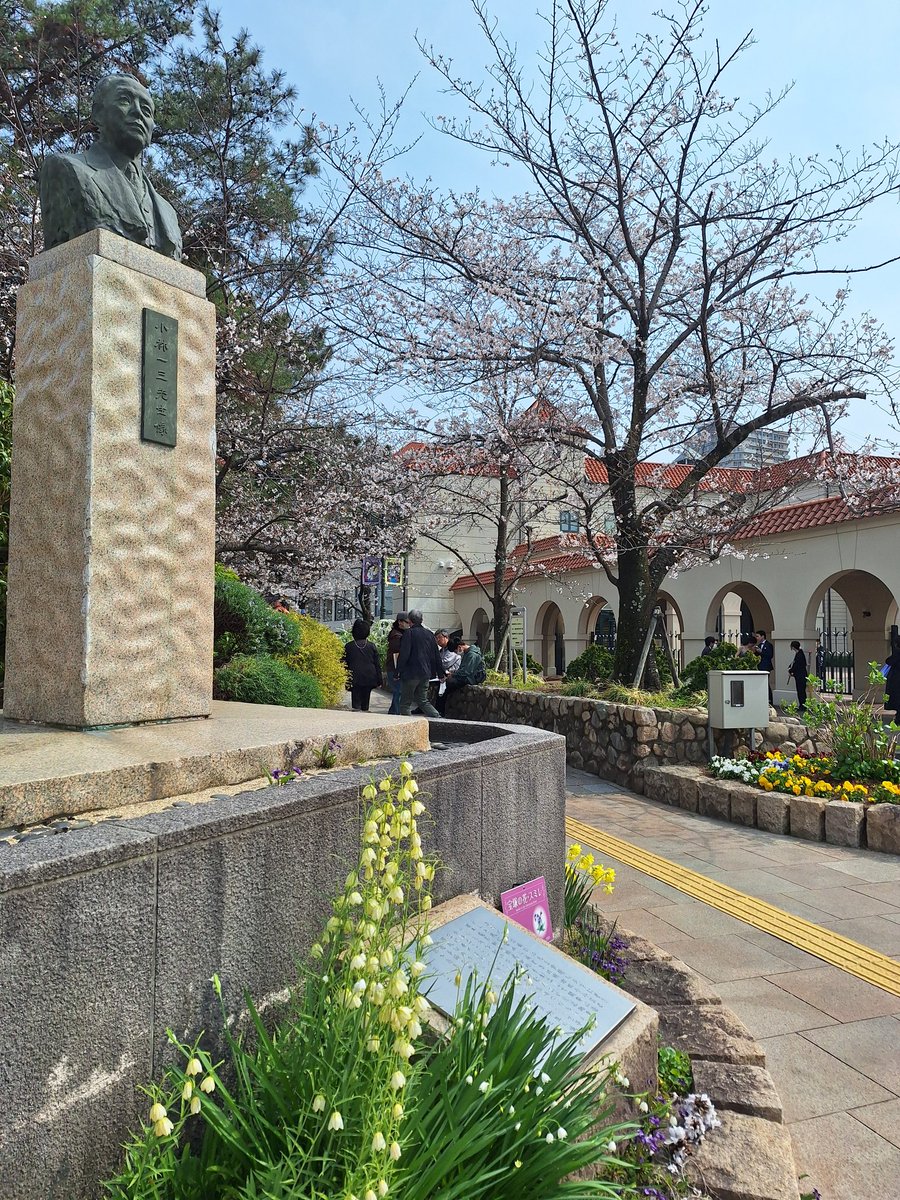 サフラン tweet media