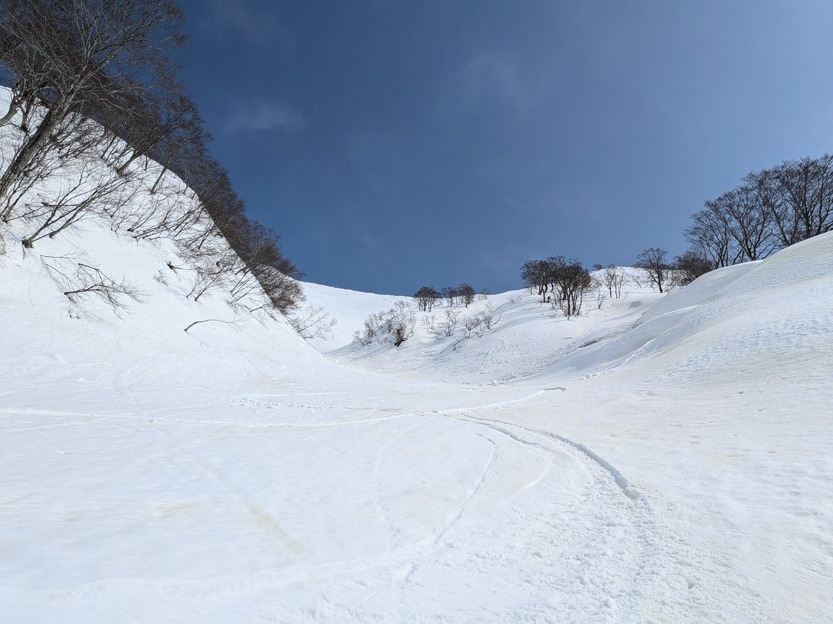 ばたこ tweet media