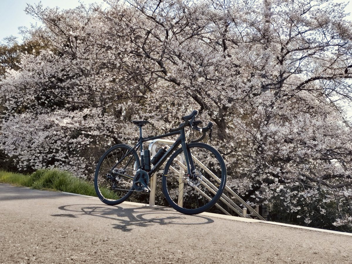 鷹猫@エスカルゴcc関東 tweet media