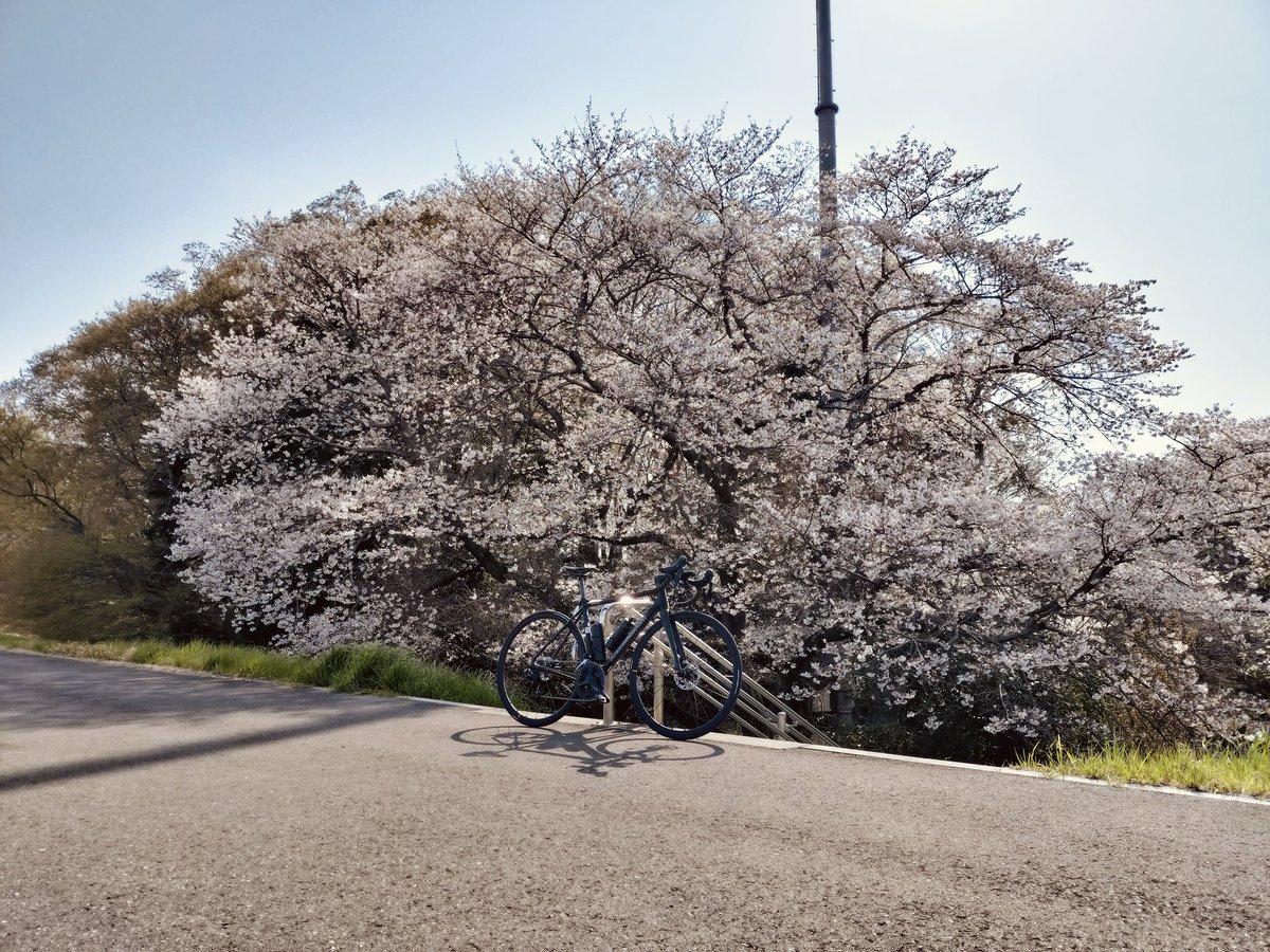 鷹猫@エスカルゴcc関東 tweet media