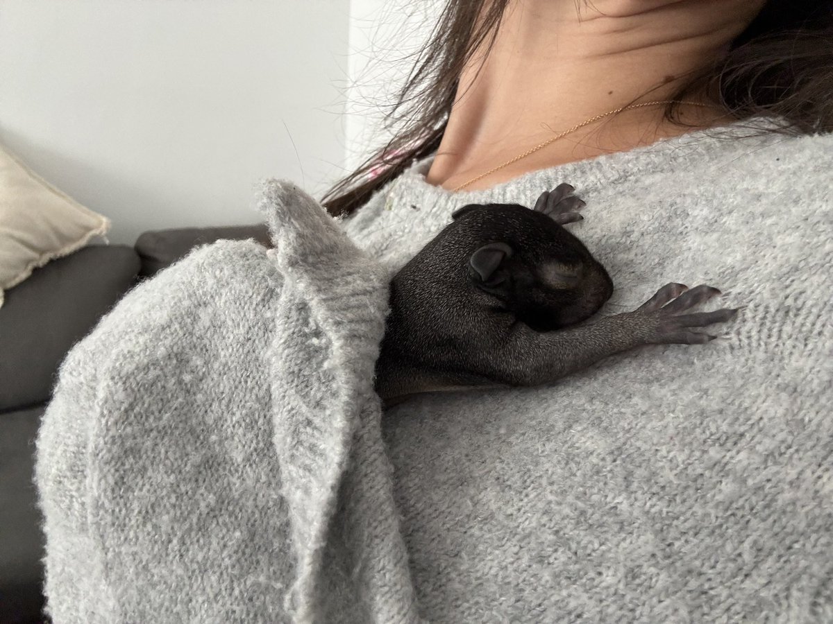 🧚🏼‍♀️Princess Valentina tweet media