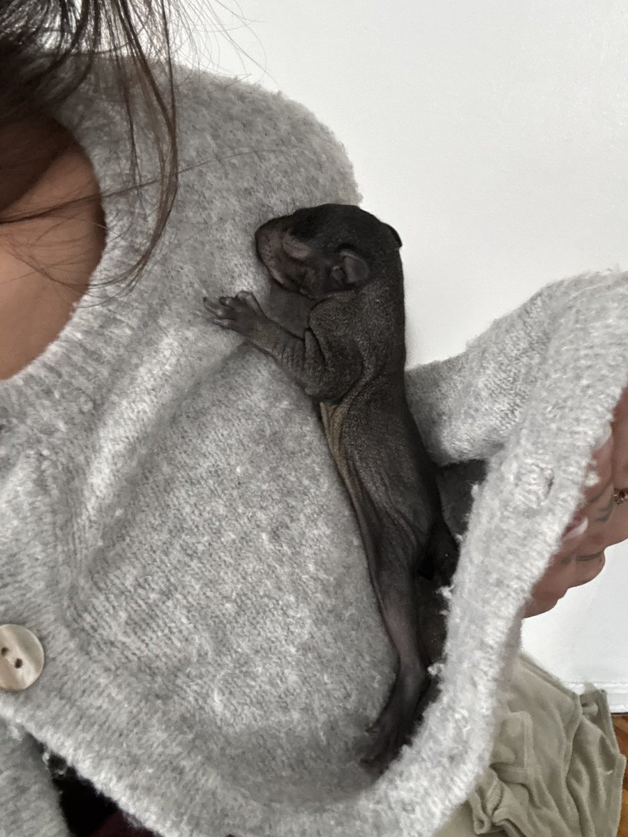 🧚🏼‍♀️Princess Valentina tweet media