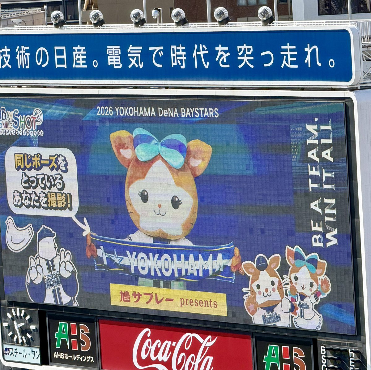 🟡🦭 tweet media